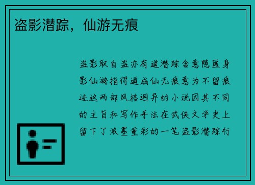 盗影潜踪，仙游无痕